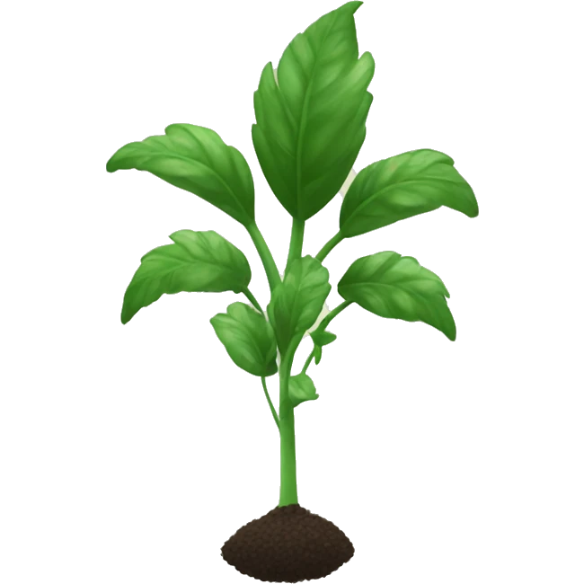 planta de trigo emoji