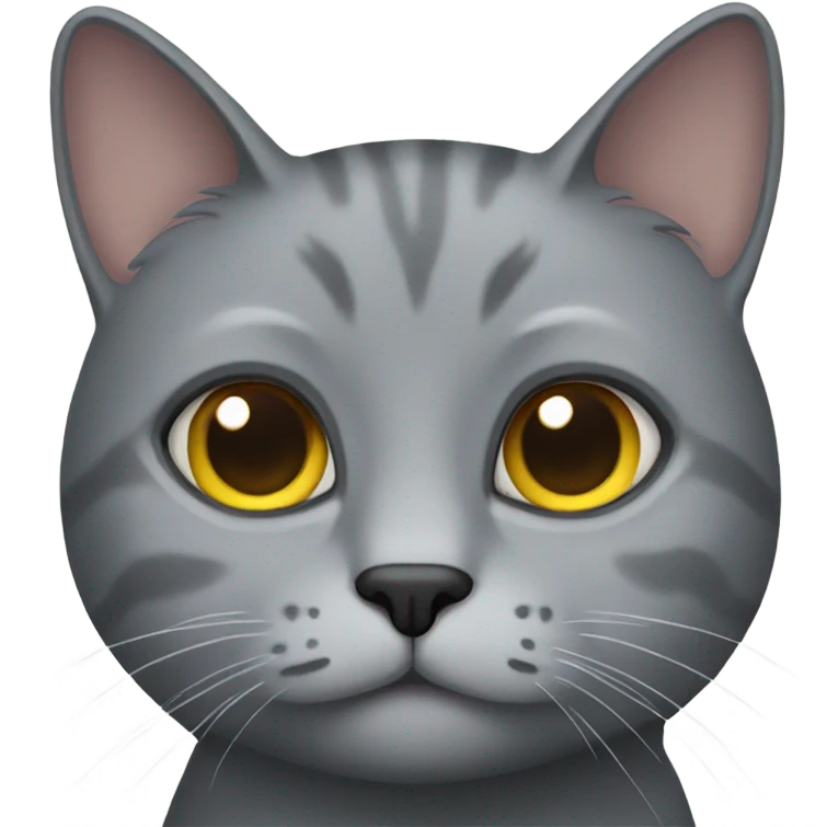 grey cat  emoji