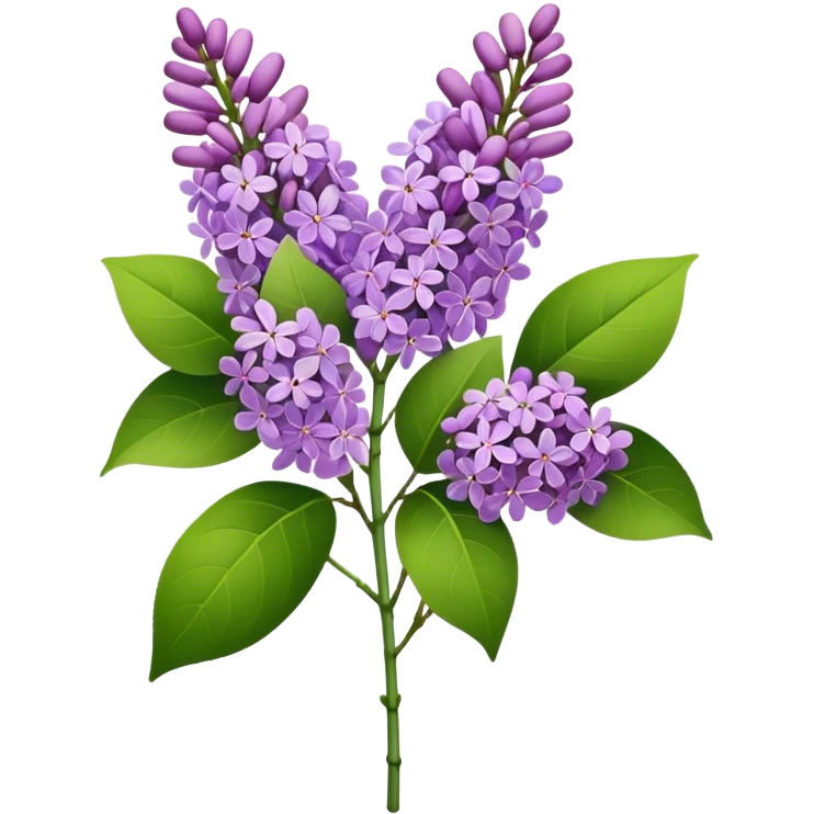 single bunch lilac flower, straight stem emoji