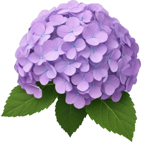 Hydrangea emoji