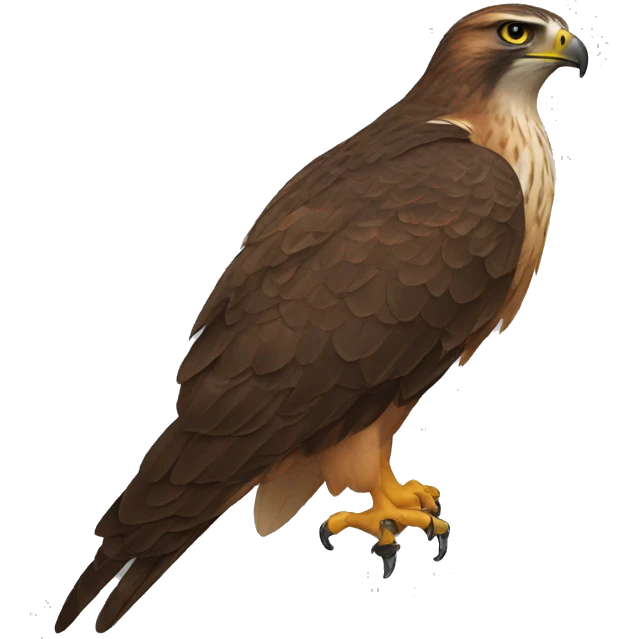 hawk emoji