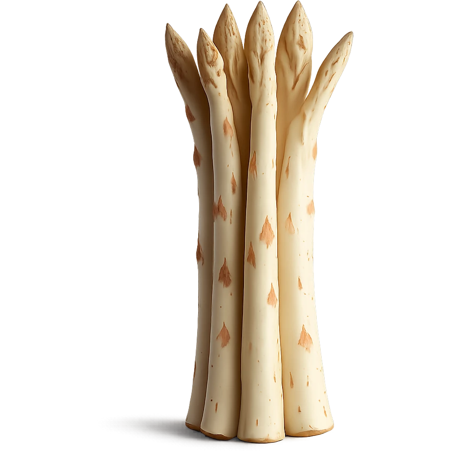 Realistic style white asparagus with transparent background, no background visible, photorealistic details, natural colors and textures. emoji