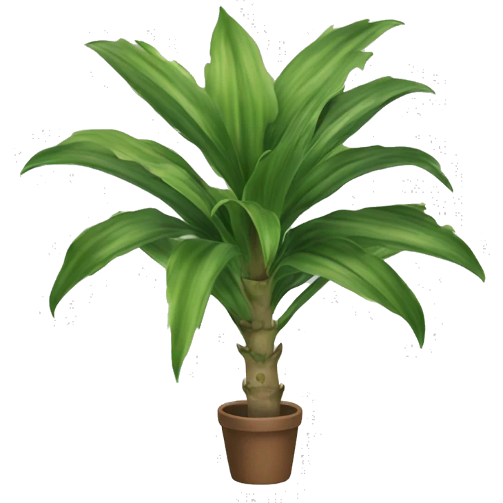 Dracaena trifasciata emoji