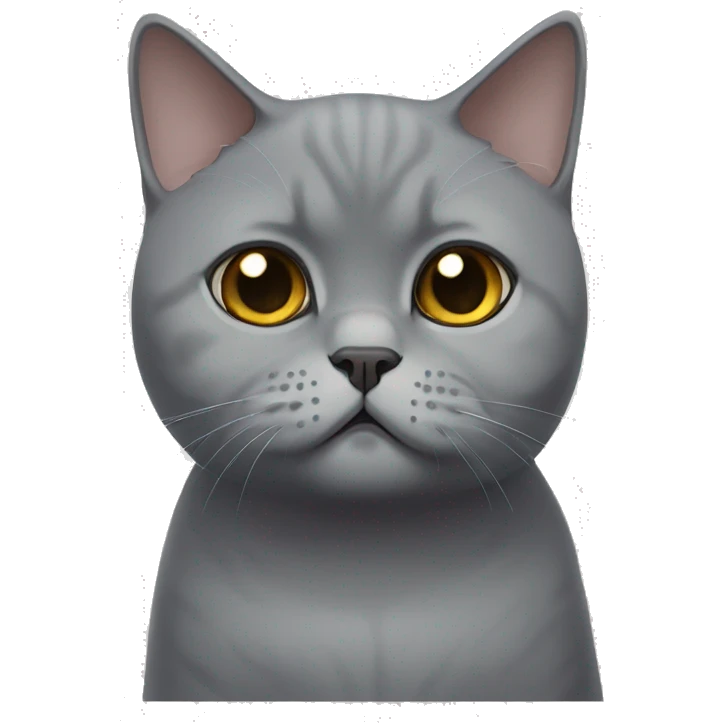 British shorthair cat with sad eyes  emoji