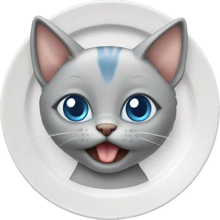 blue eyes grey kitten eat plate meat emoji
