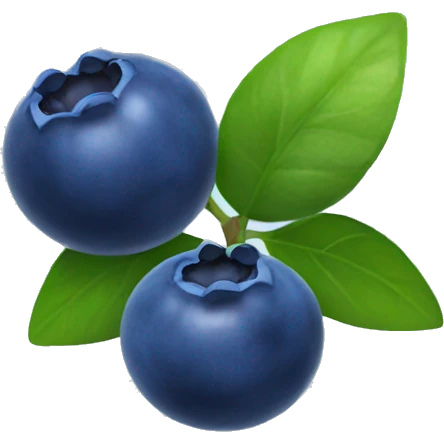 Blueberries  emoji