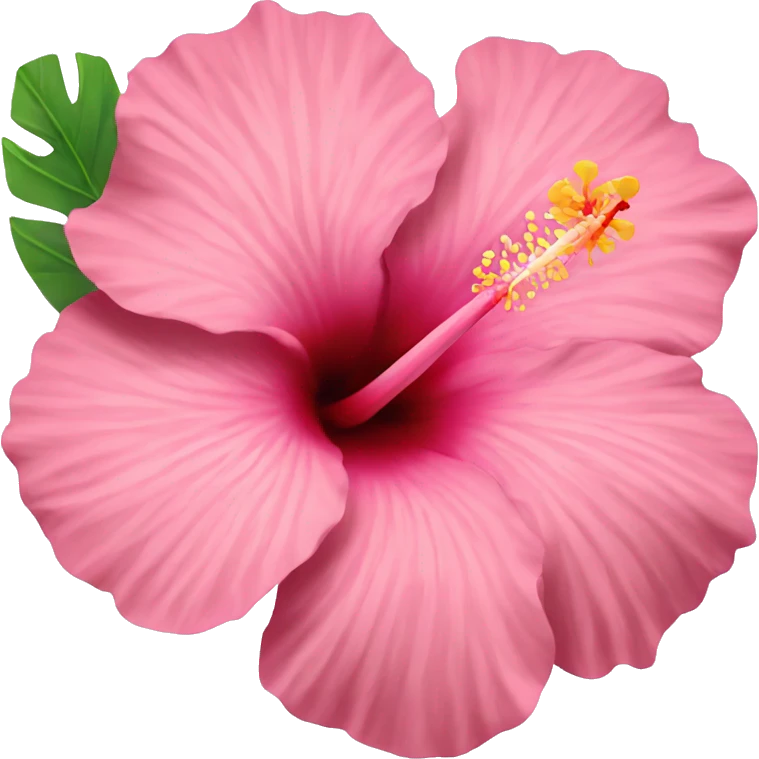 pink hibiscus flower emoji