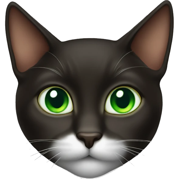 Cute Dark brown Tuxedo cat with green eyes emoji