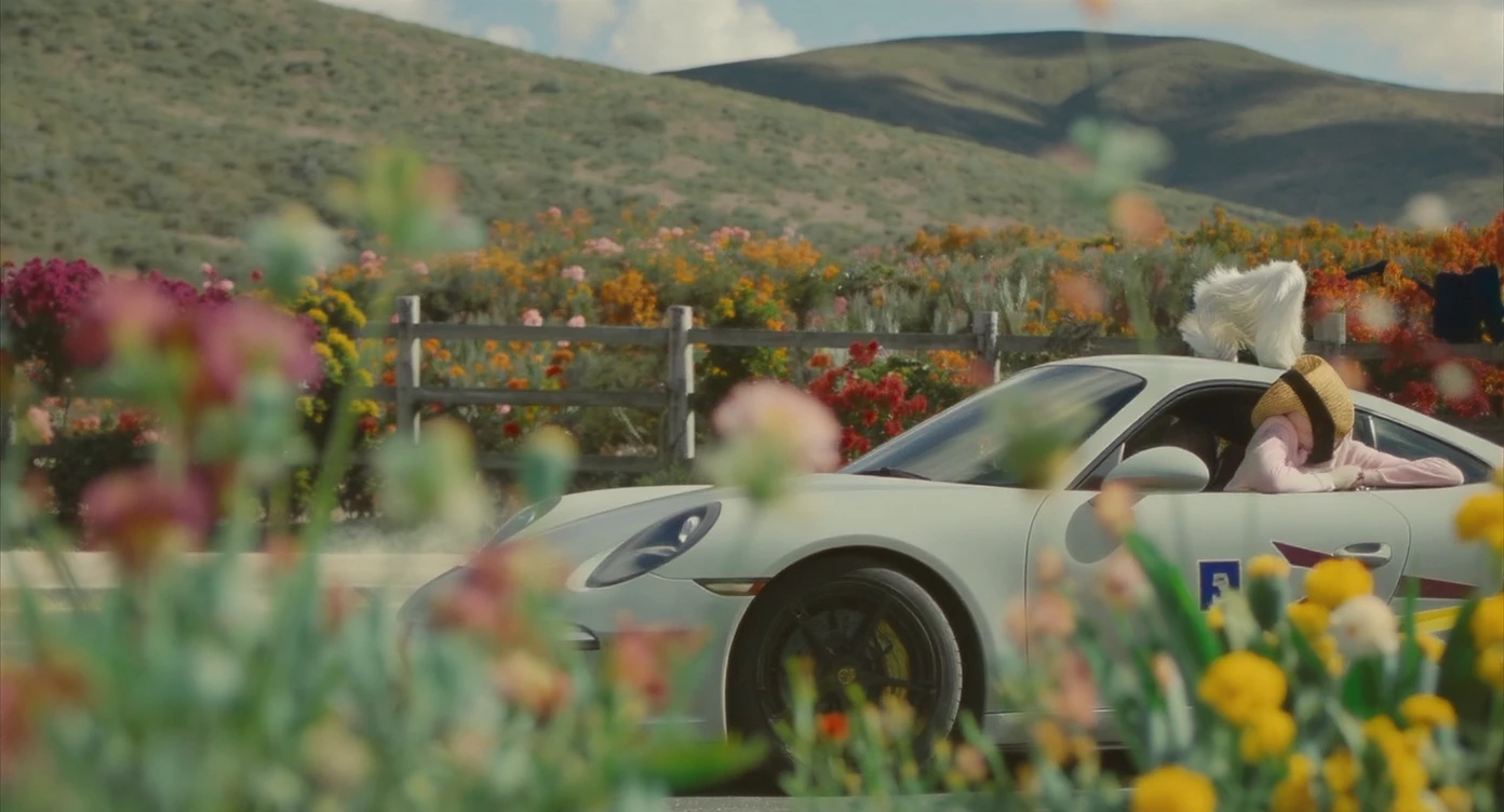 A portrait of a white person next to porsche 911 in the foreground, blurred plants in the foreground, a wooden fence and colorfull flowers in the midground, rolling hills in the background, cinematic depth of field, layered composition, natural lighting emoji