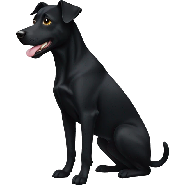 Black Kelpie labrador mix emoji