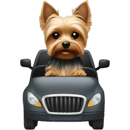 Yorkie driving  emoji