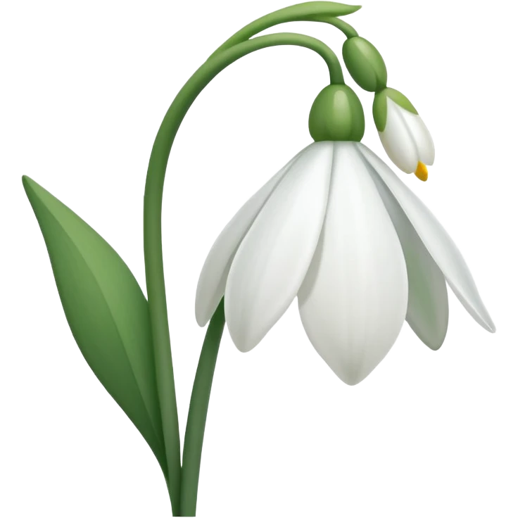 Snowdrop flower emoji