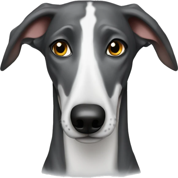 Galgo con charco pis  emoji