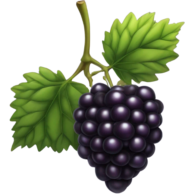 blackberry emoji