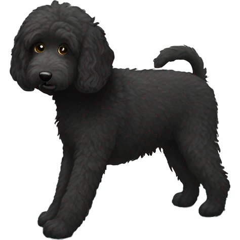 Black labradoodle doing downward dog yoga pose emoji