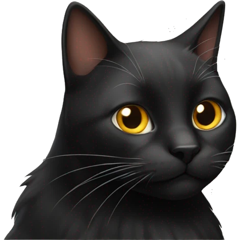 black cat with whiskers emoji