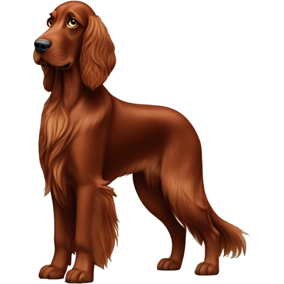 Irish setter  emoji