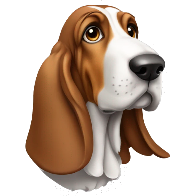 Basset hound emoji