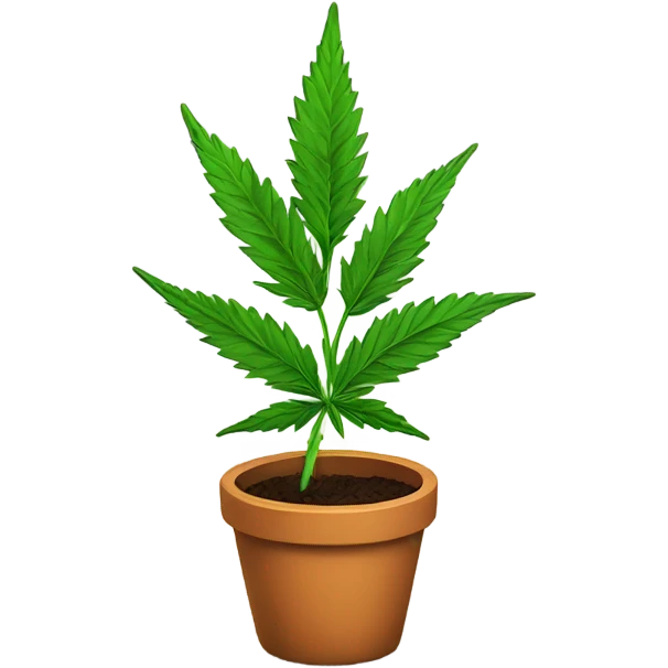 Cannabis plant in a pot emoji