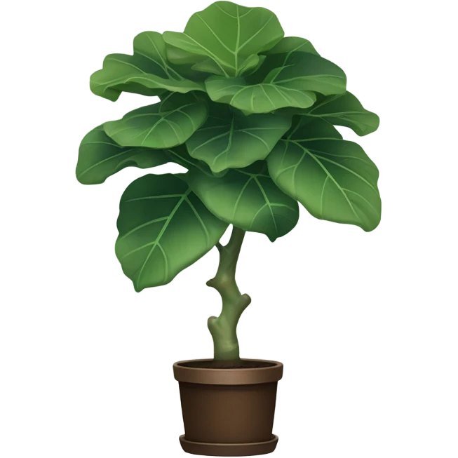 fiddle leaf fig  emoji