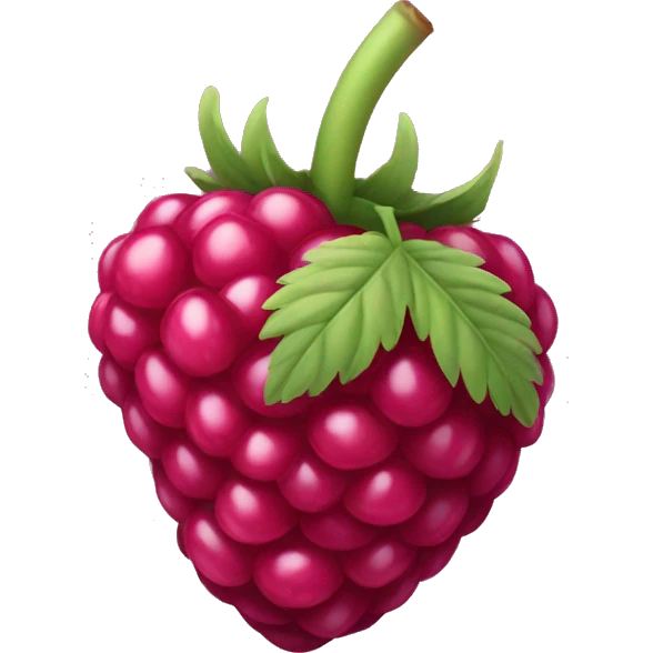 one single raspberry emoji