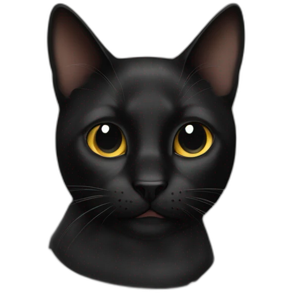 BLACK CAT WITH SPOT ON NOSE emoji