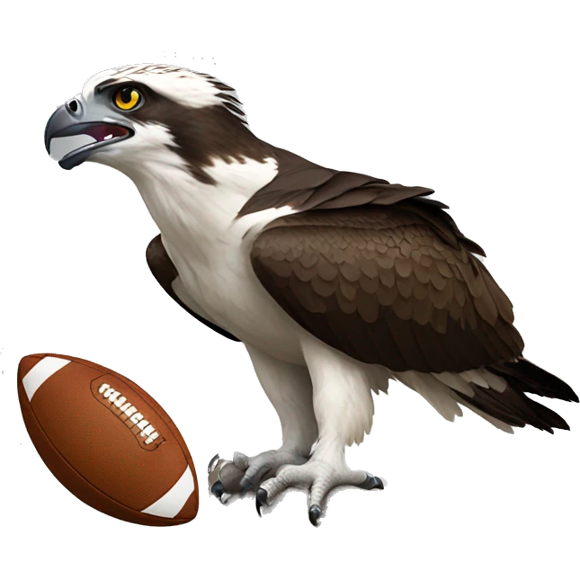 Osprey with a football emoji