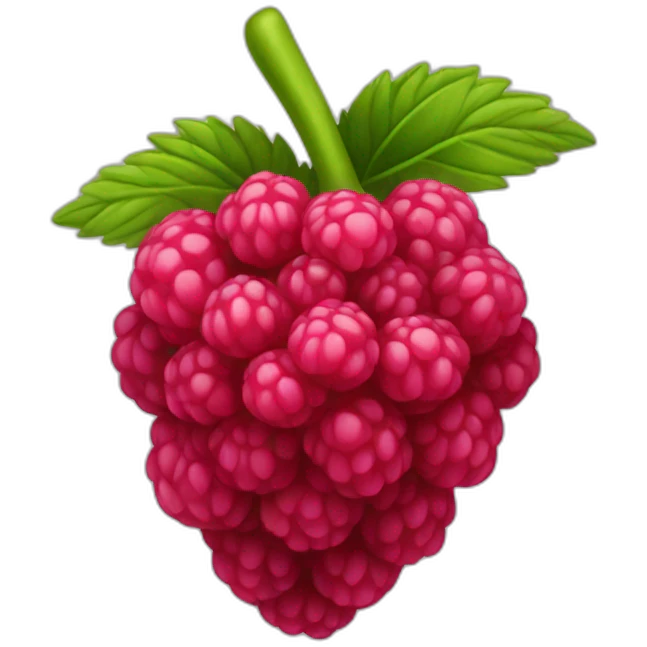 Raspberry emoji