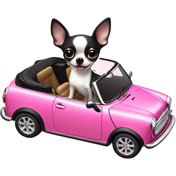 Black and white Chihuahua driving pink mini cooper convertible  emoji