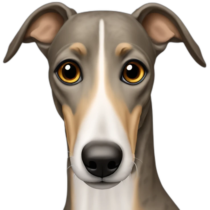 tan greyhound with faint black brindle striping that looks like eyebrows emoji