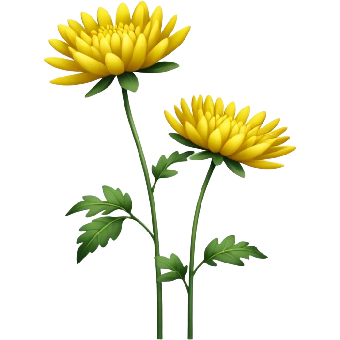 single Bright Yellow Chrysanthemum, straight stem emoji