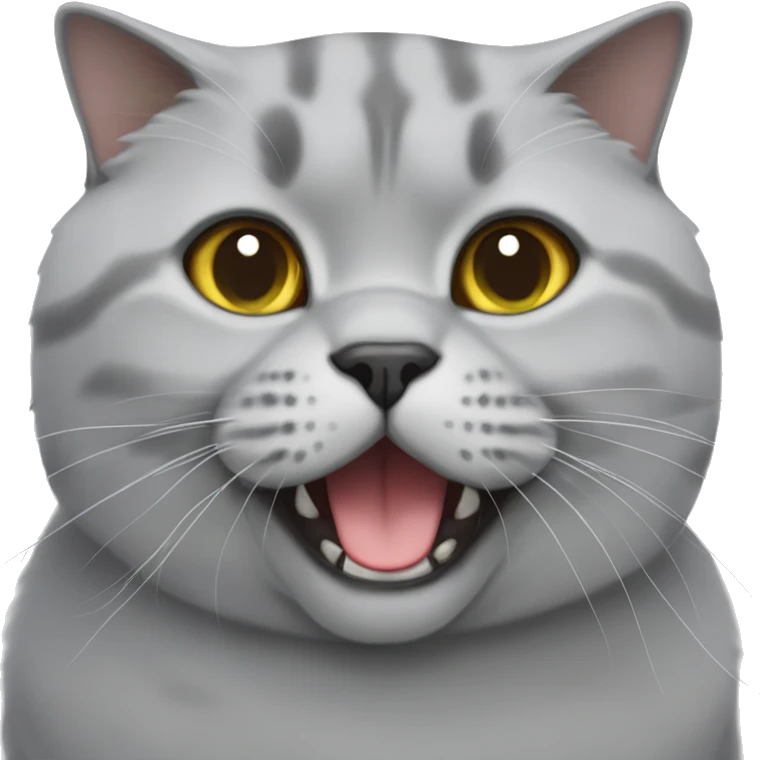 British shorthair cat grey emoji