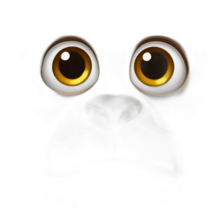 orang flauers emoji