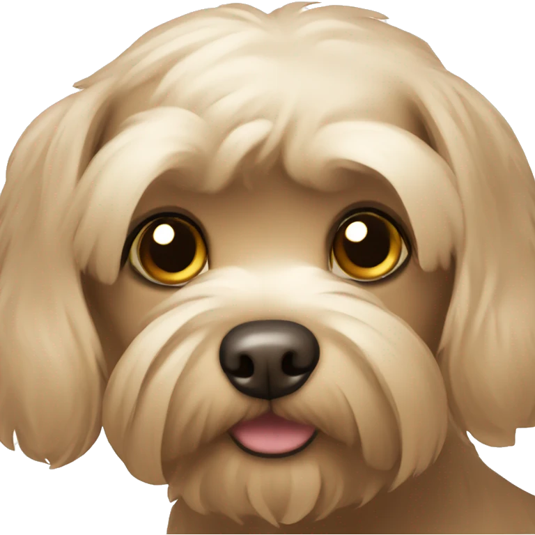 Brown maltese dog emoji