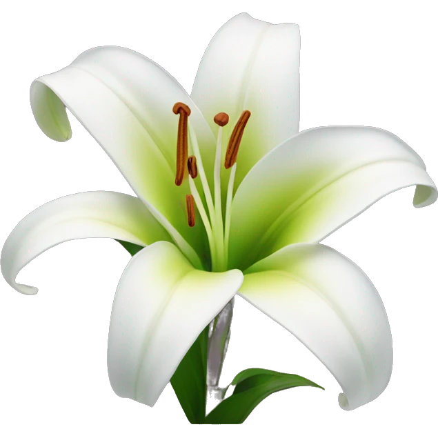 Lily flower  emoji