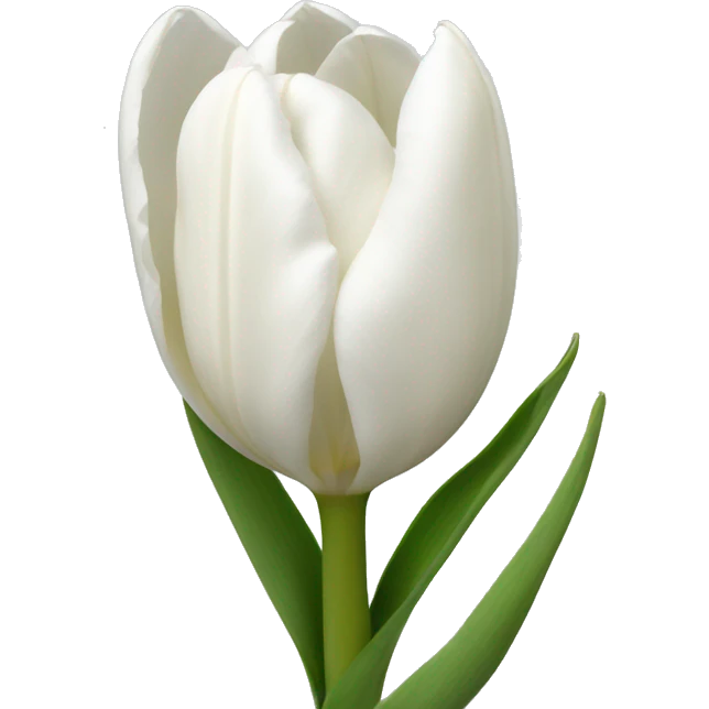 White tulips emoji