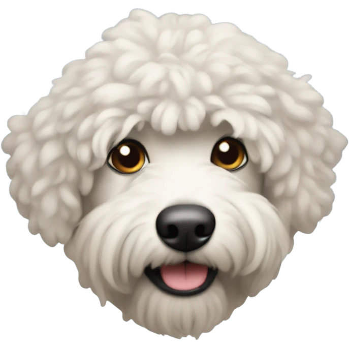 berniedoodle emoji