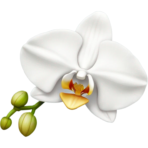 White orchid emoji