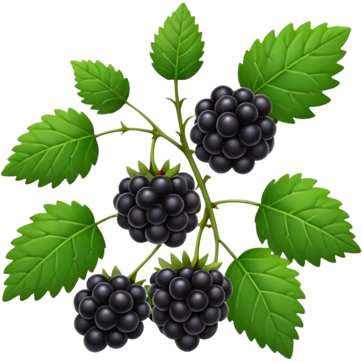 blackberry plant emoji