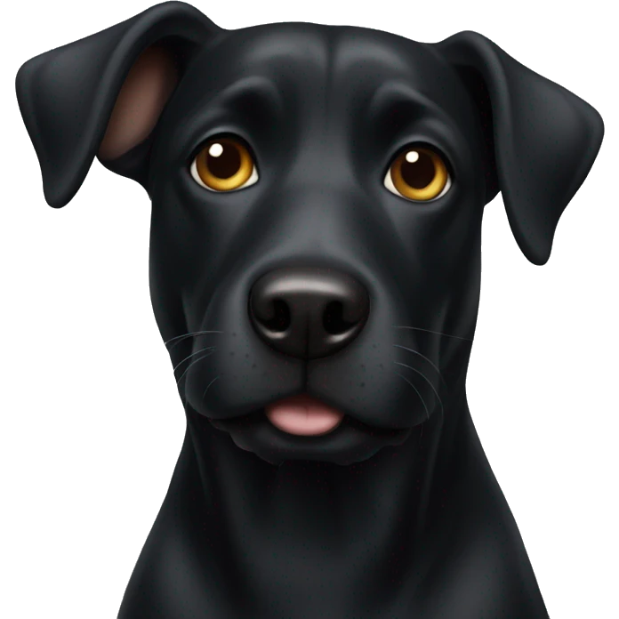 Black dog  emoji