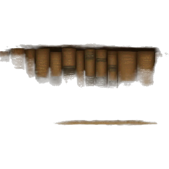 old books emoji
