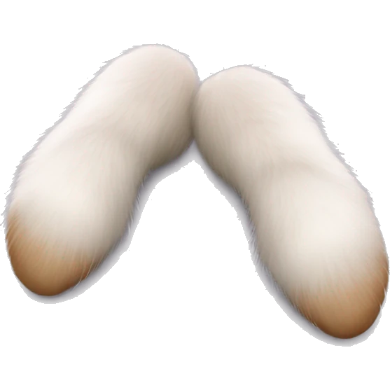 Realistic bunny tail and feet isolated.  emoji