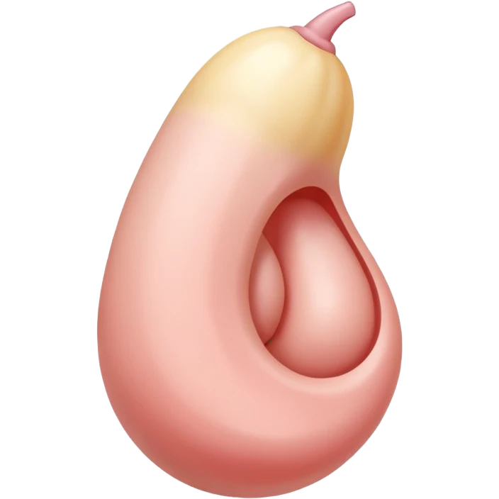 Penis in vagina  emoji