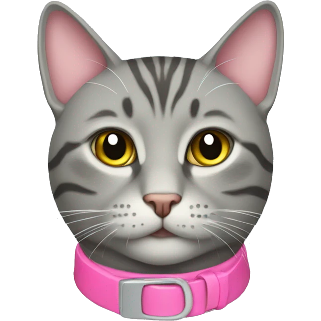 Grey tabby cat with a pink collar emoji
