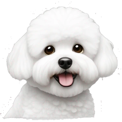 bichon frise in bath emoji