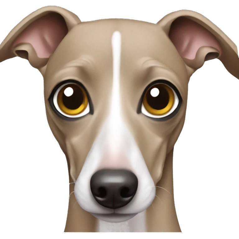 Italian greyhound  emoji