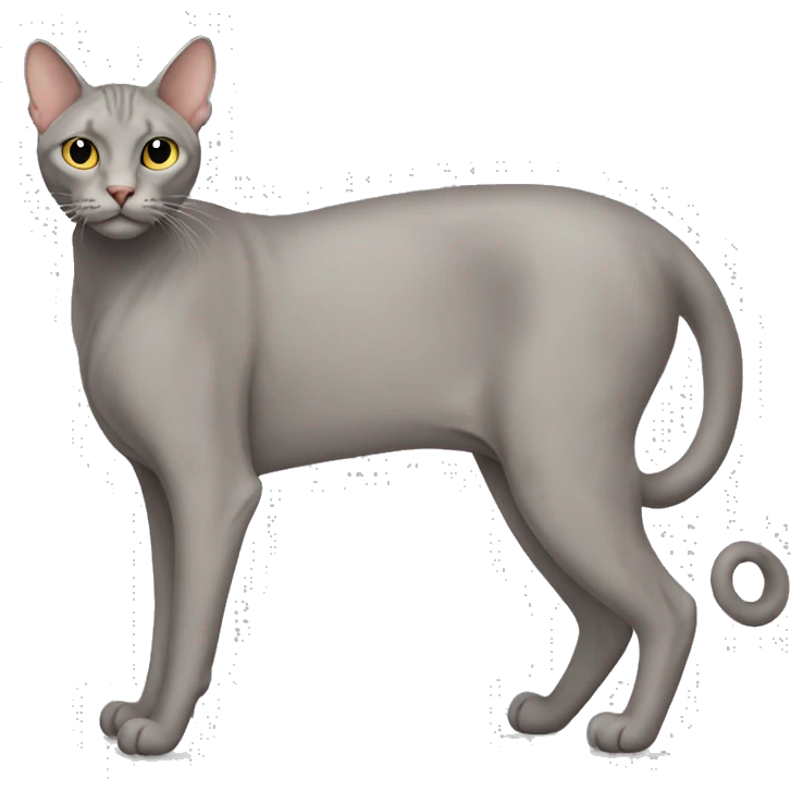 A full-body view of a large, hairless cat emoji