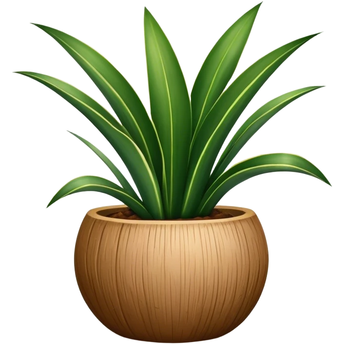 Sansevieria plant in round coconut pot emoji