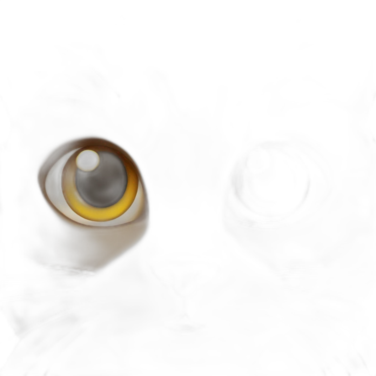 Cat fat brown emoji