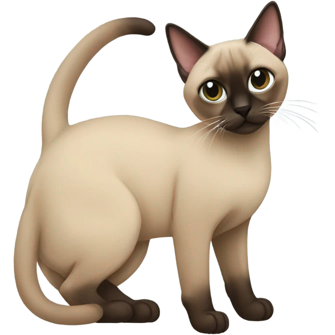 a tonkinese cat with a dreid emoji